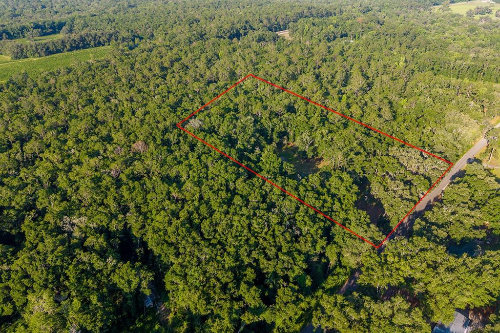 6016 Southwest 52nd Terrace Lake Butler, FL 32054 - Photo 9 of 11