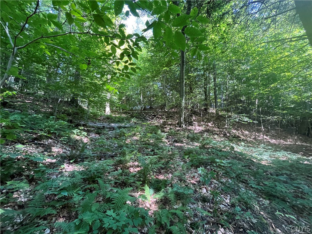 Center Road Lacona, NY 13083 - Photo 13 of 38