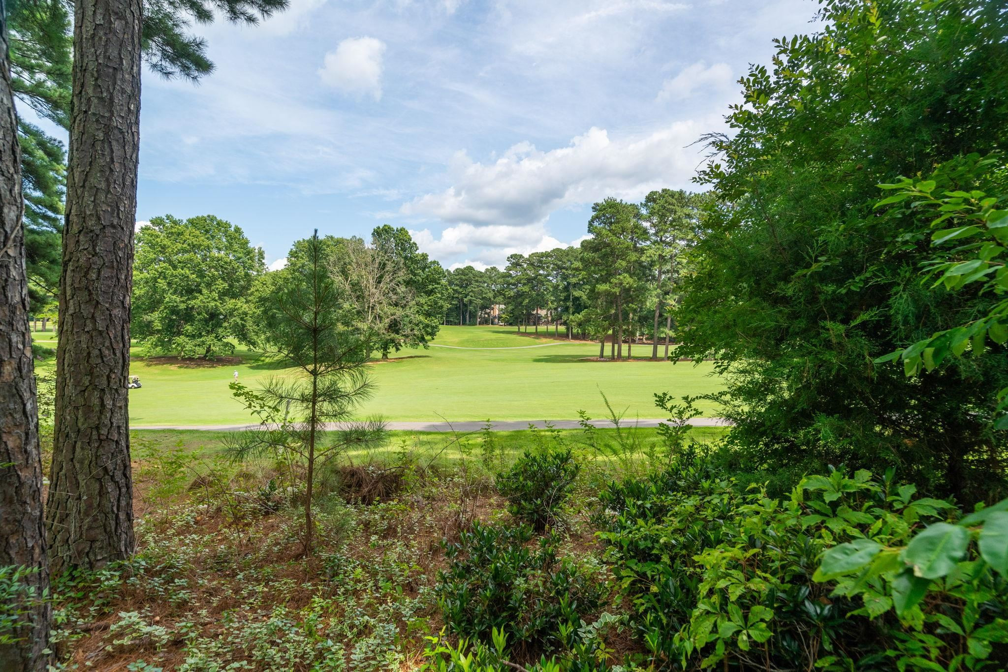 2965 Tillinghast Trail Raleigh, NC 27613 - Photo 42 of 48 Golf Course View