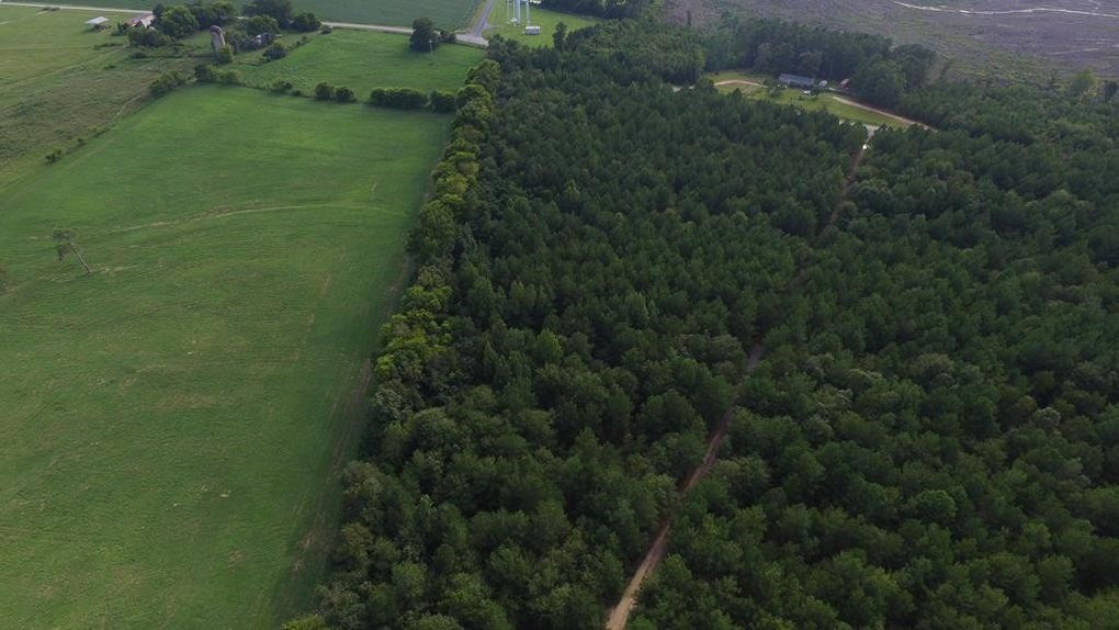 3 Green Pond Road Jackson, SC 29831 - Photo 3 of 10 Gallery Image 3