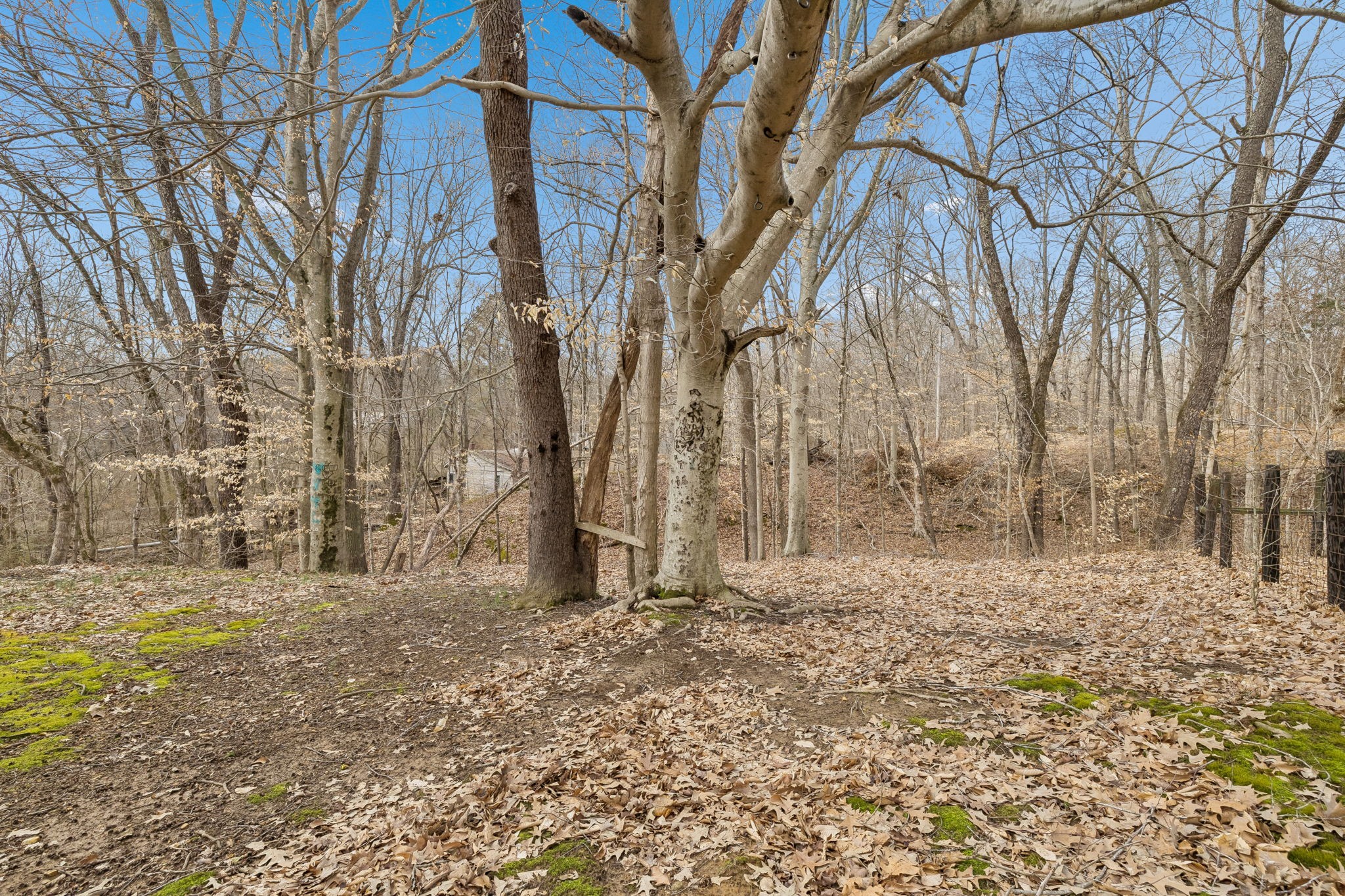 639 Big Rock Road Big Rock, TN 37023 - Photo 28 of 45