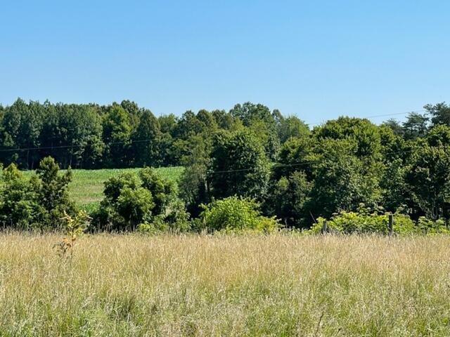 9643 Walnut Dowler Road Logan, OH 43138 - Photo 65 of 72 Pasture & Woods