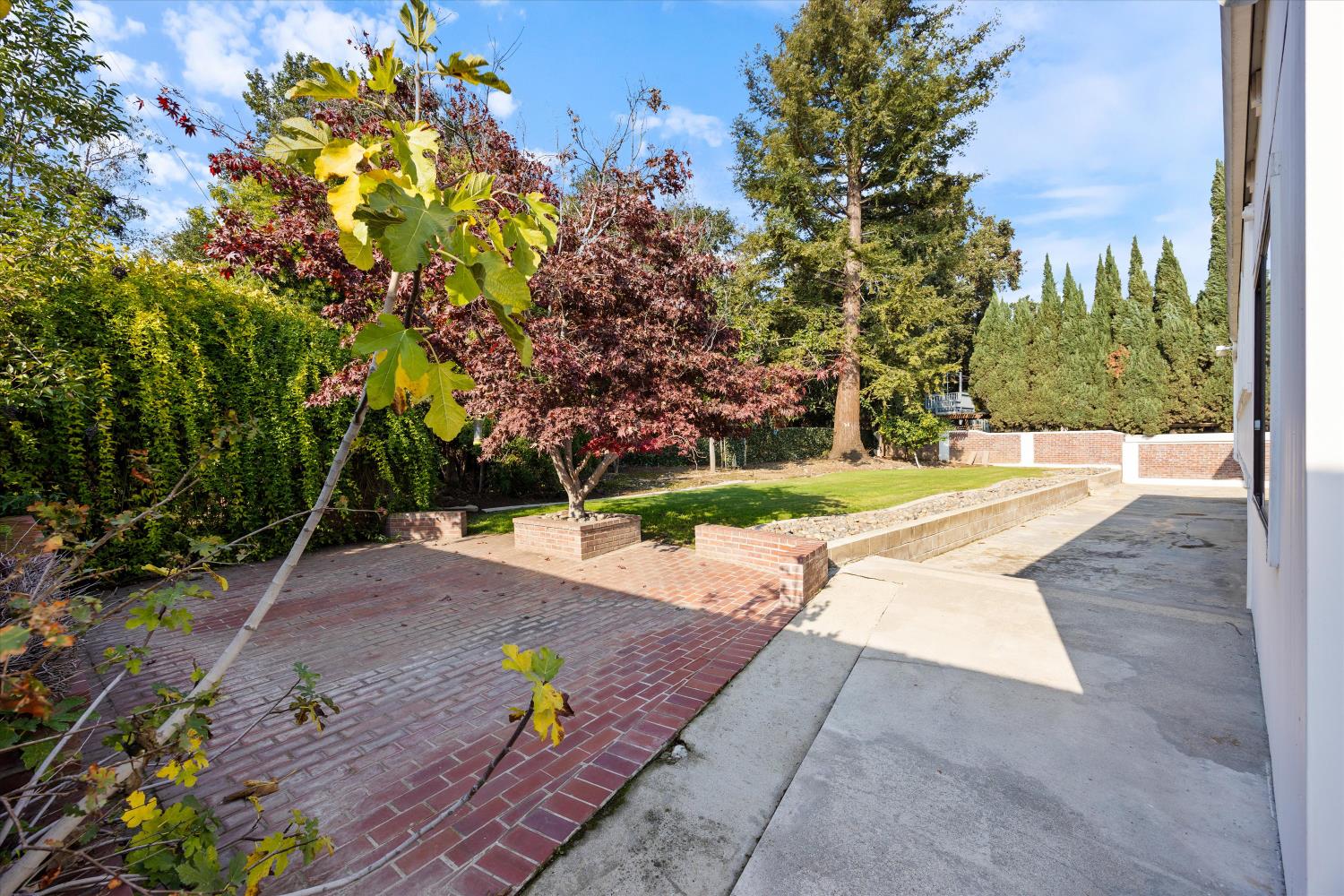 1786 Le Bec Court Lodi, CA 95240 - Photo 48 of 65 a view of backyard with plants and trees