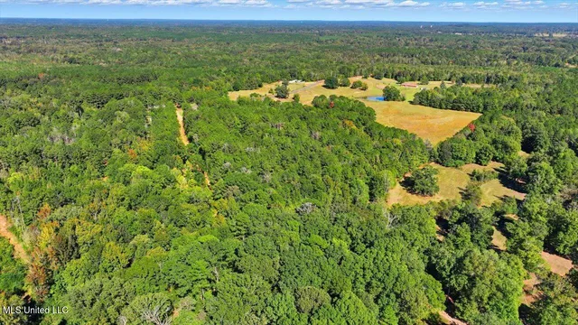 $88,000 | 0 North Enoch Grove Road, Florence, MS 39073