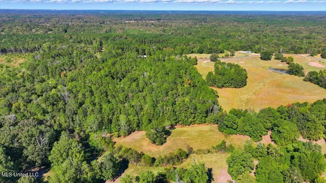 $88,000 | 0 North Enoch Grove Road, Florence, MS 39073