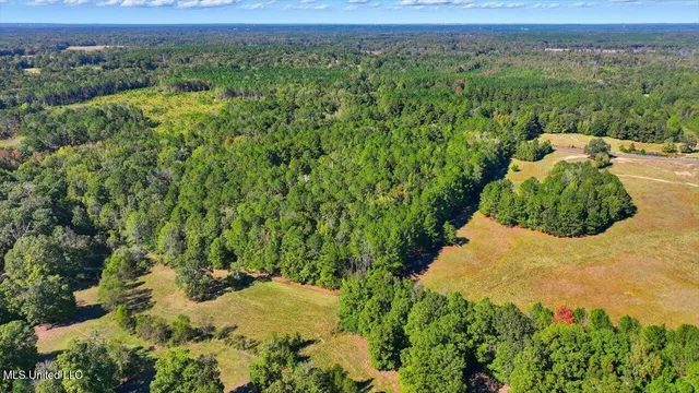 $88,000 | 0 North Enoch Grove Road, Florence, MS 39073