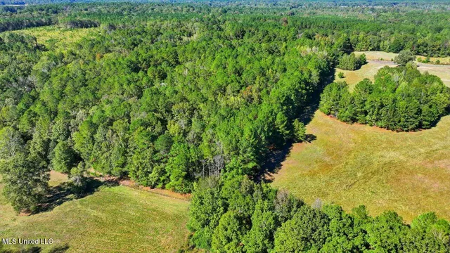 $88,000 | 0 North Enoch Grove Road, Florence, MS 39073