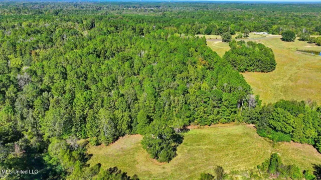 $88,000 | 0 North Enoch Grove Road, Florence, MS 39073