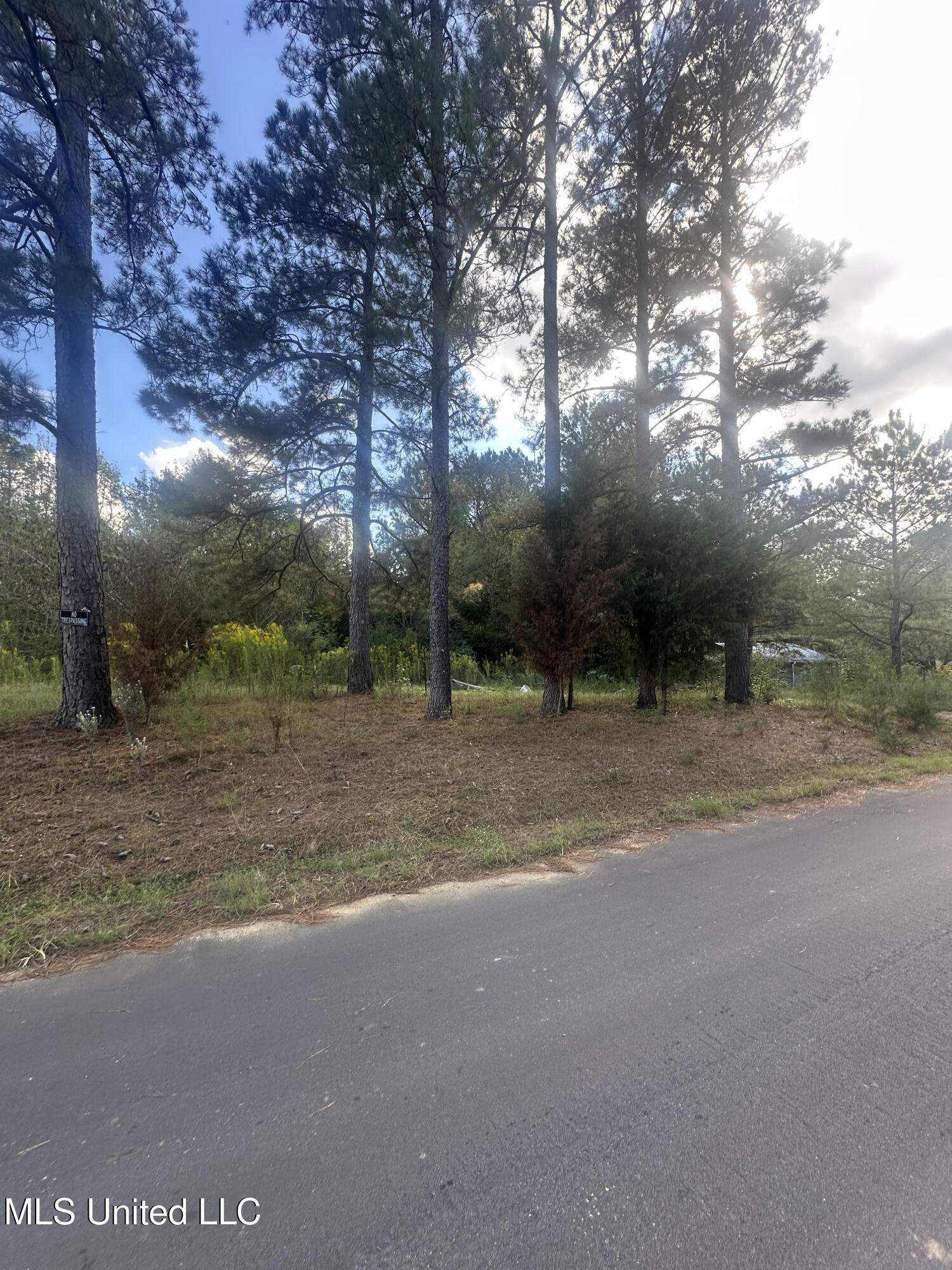 0 North Enoch Grove Road Florence, MS 39073 - Photo 2 of 35 3