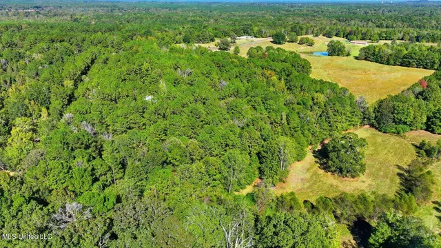 $88,000 | 0 North Enoch Grove Road, Florence, MS 39073