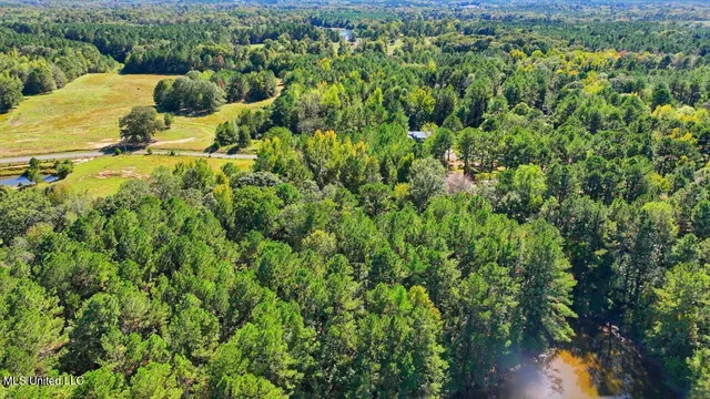 $88,000 | 0 North Enoch Grove Road, Florence, MS 39073