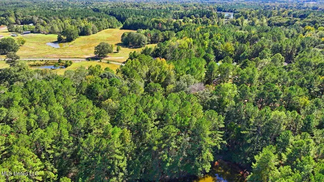 $88,000 | 0 North Enoch Grove Road, Florence, MS 39073