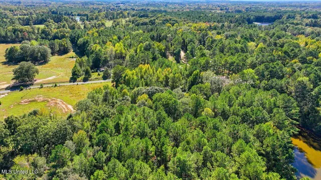 $88,000 | 0 North Enoch Grove Road, Florence, MS 39073