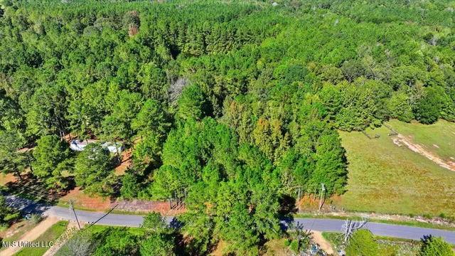 $88,000 | 0 North Enoch Grove Road, Florence, MS 39073