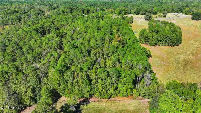 $88,000 | 0 North Enoch Grove Road, Florence, MS 39073