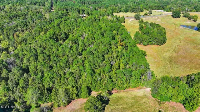 $88,000 | 0 North Enoch Grove Road, Florence, MS 39073