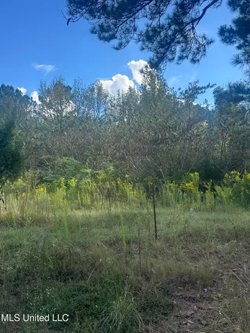 $88,000 | 0 North Enoch Grove Road, Florence, MS 39073