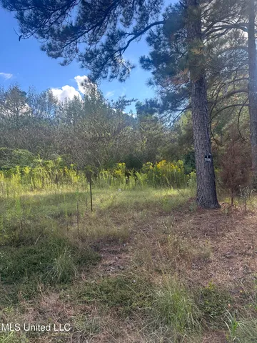 $88,000 | 0 North Enoch Grove Road, Florence, MS 39073