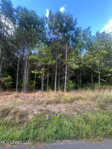 $88,000 | 0 North Enoch Grove Road, Florence, MS 39073