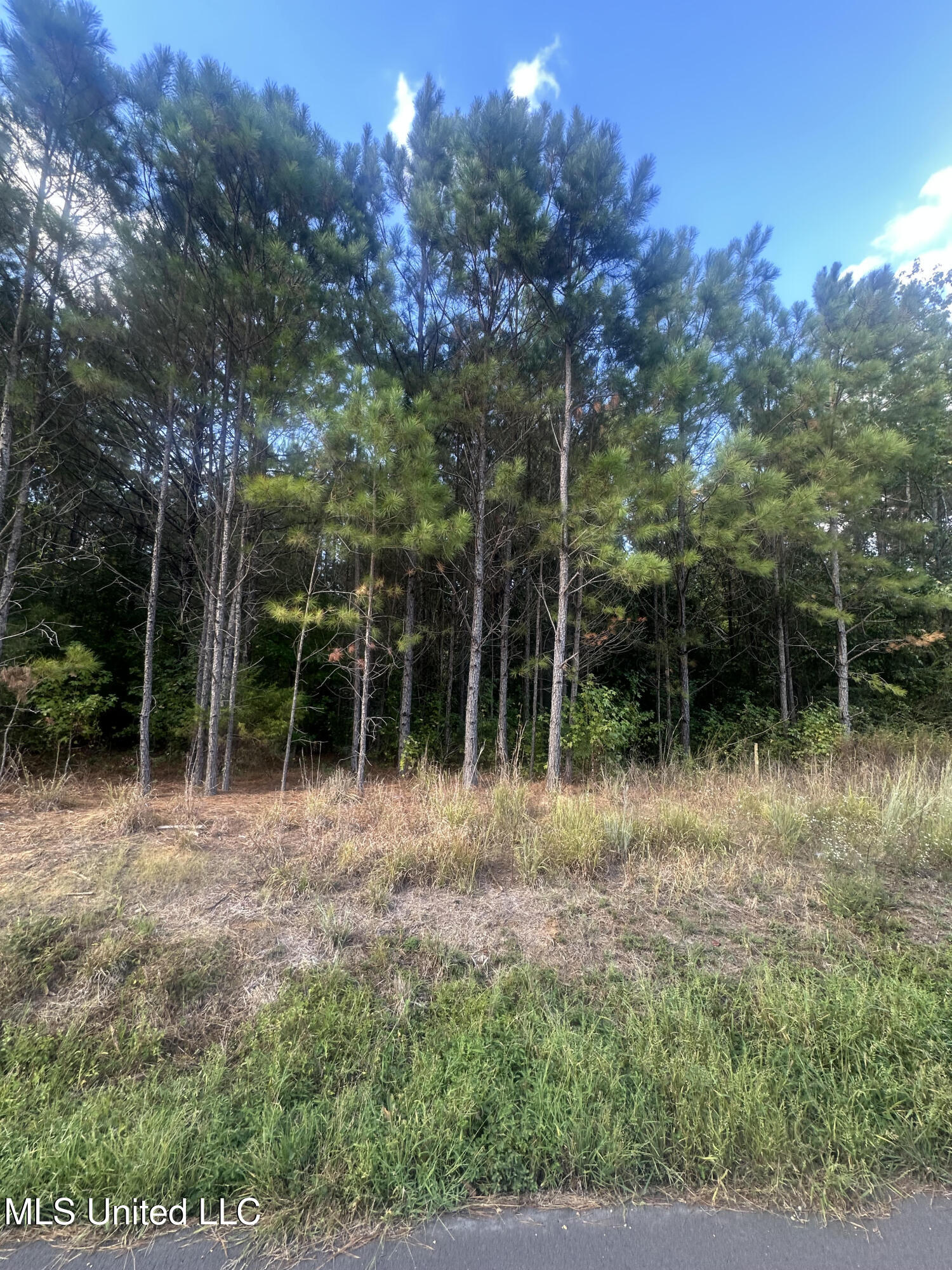 0 North Enoch Grove Road Florence, MS 39073 - Photo 6 of 35 2