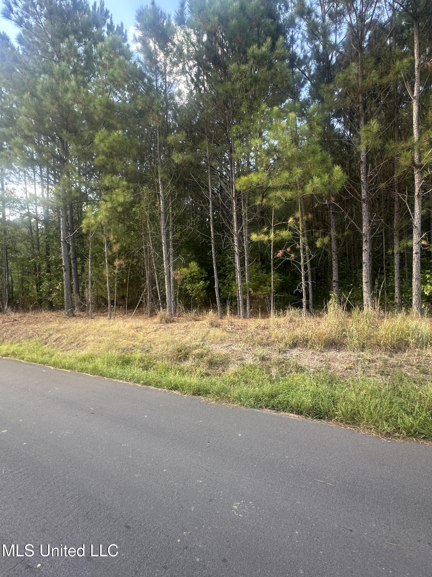 0 North Enoch Grove Road Florence, MS 39073 - Photo 7 of 35 1