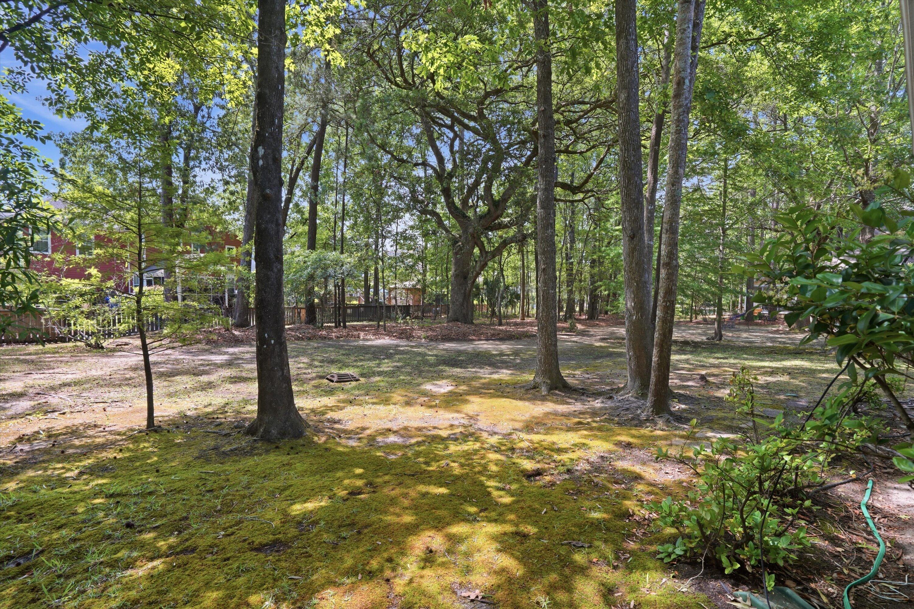 1899 Hall Point Road Mount Pleasant, SC 29466 - Photo 49 of 63 48-DSC03272