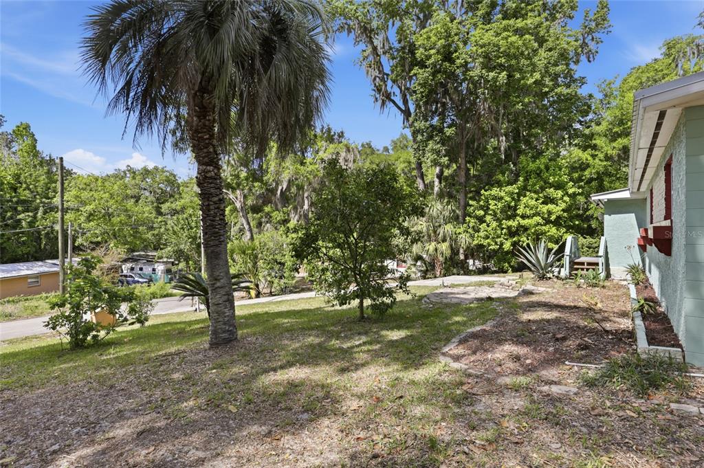 3921 Southeast 14th Terrace Gainesville, FL 32641 - Photo 31 of 32 a view of a yard with a tree