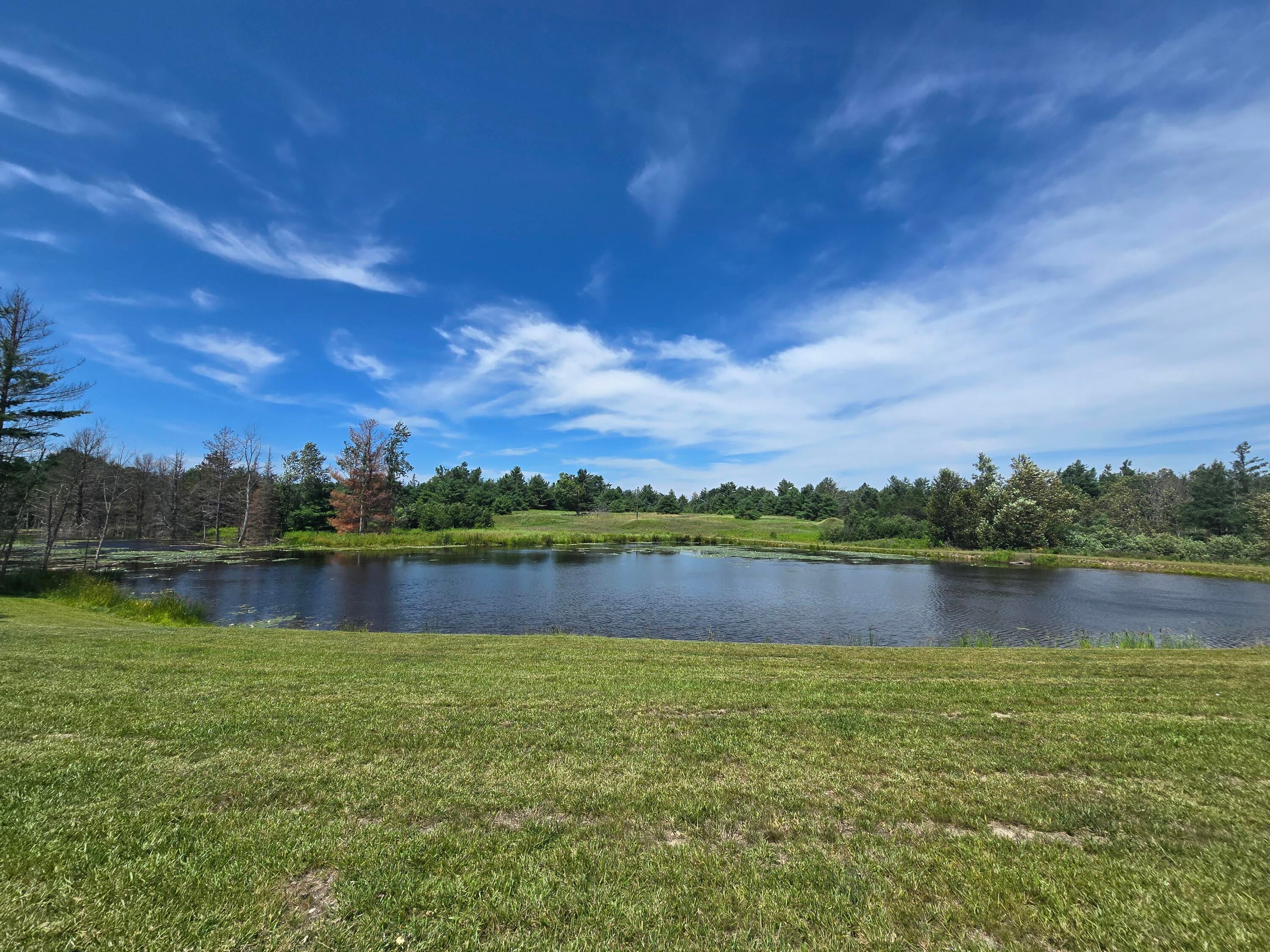 8716 Mc Collum Lake Road Curran, MI 48728 - Photo 73 of 113 20250723_131405