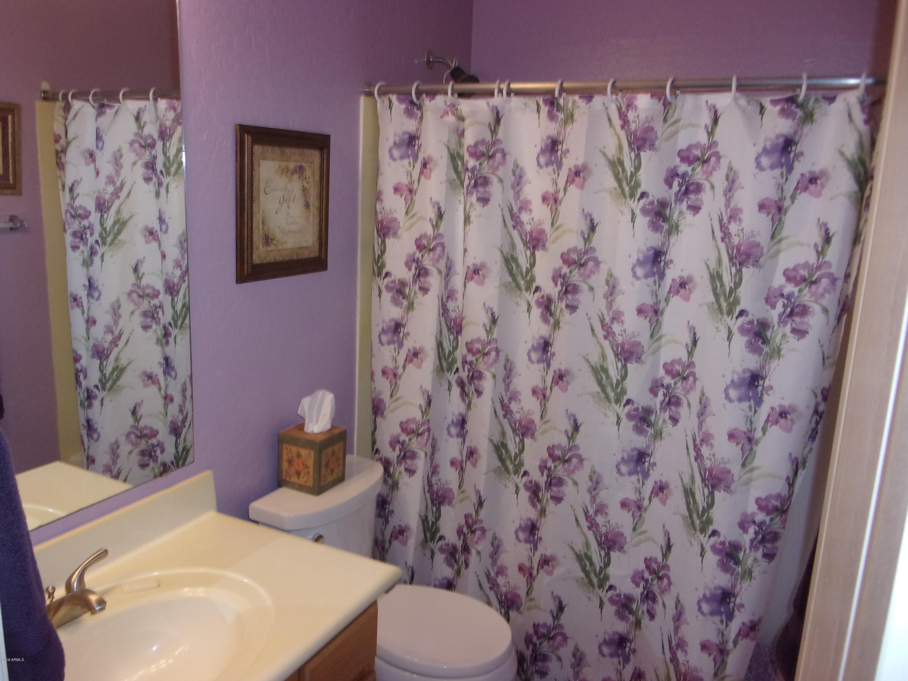 2742 East Harwell Road Gilbert, AZ 85234 - Photo 27 of 45 a white toilet sitting next to a shower curtain
