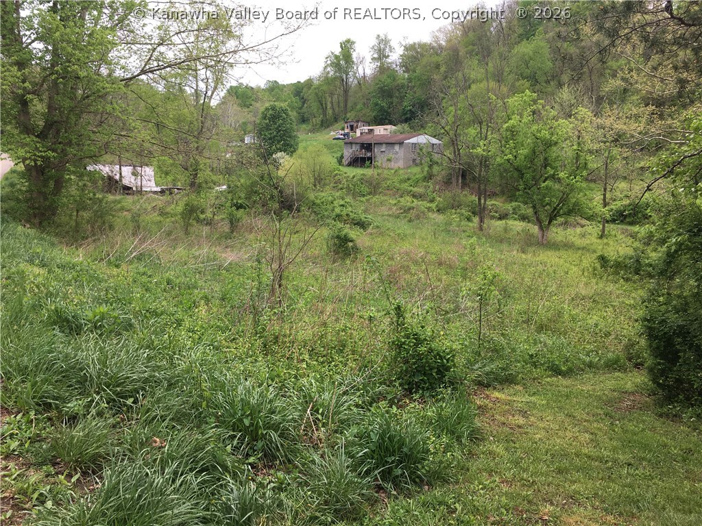 1054 Upper Gore Addition Road Tornado, WV 25202 - Photo 5 of 7 Gallery Image 5