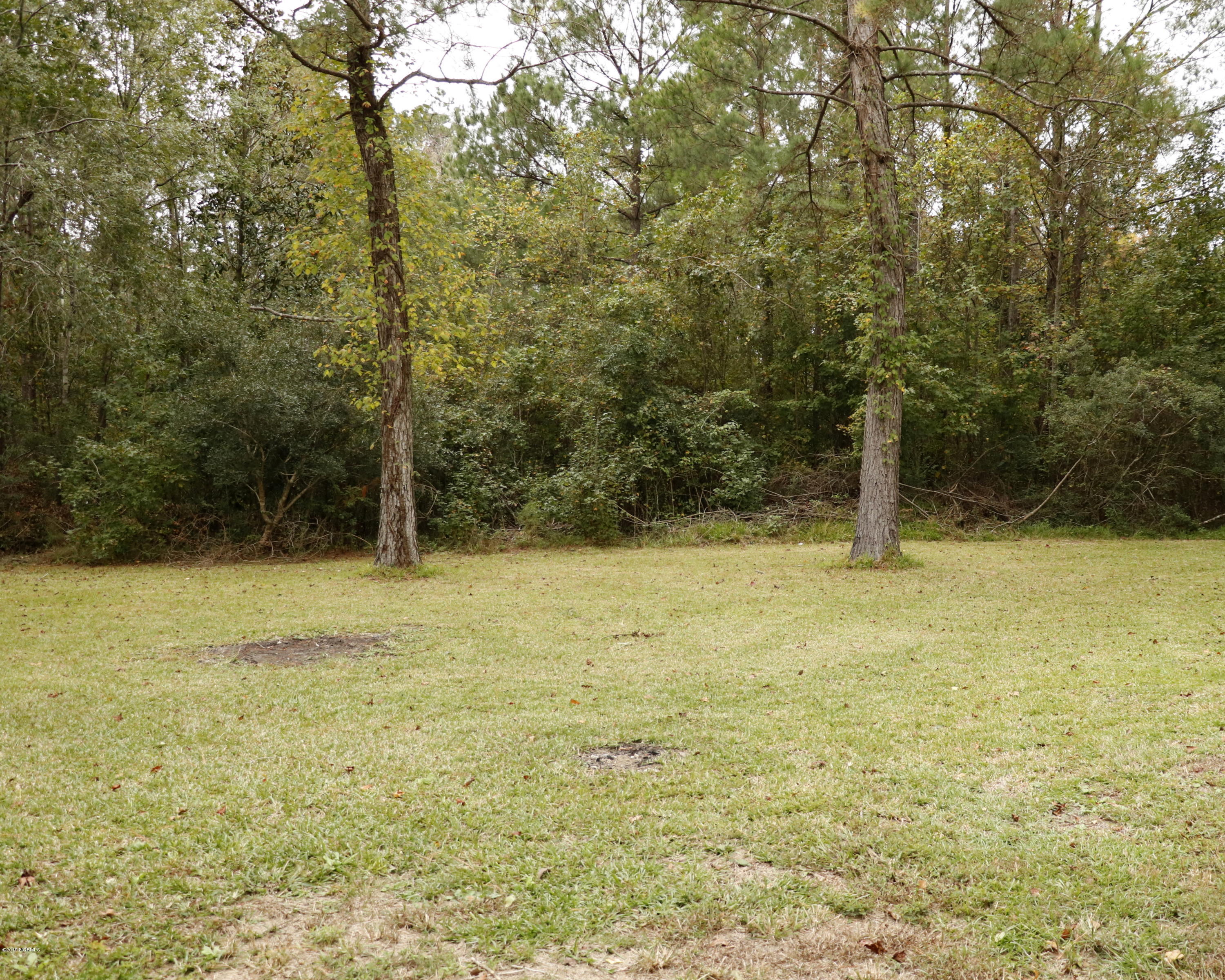 1507 Murrill Hill Road Jacksonville, NC 28540 - Photo 24 of 24 Backyard