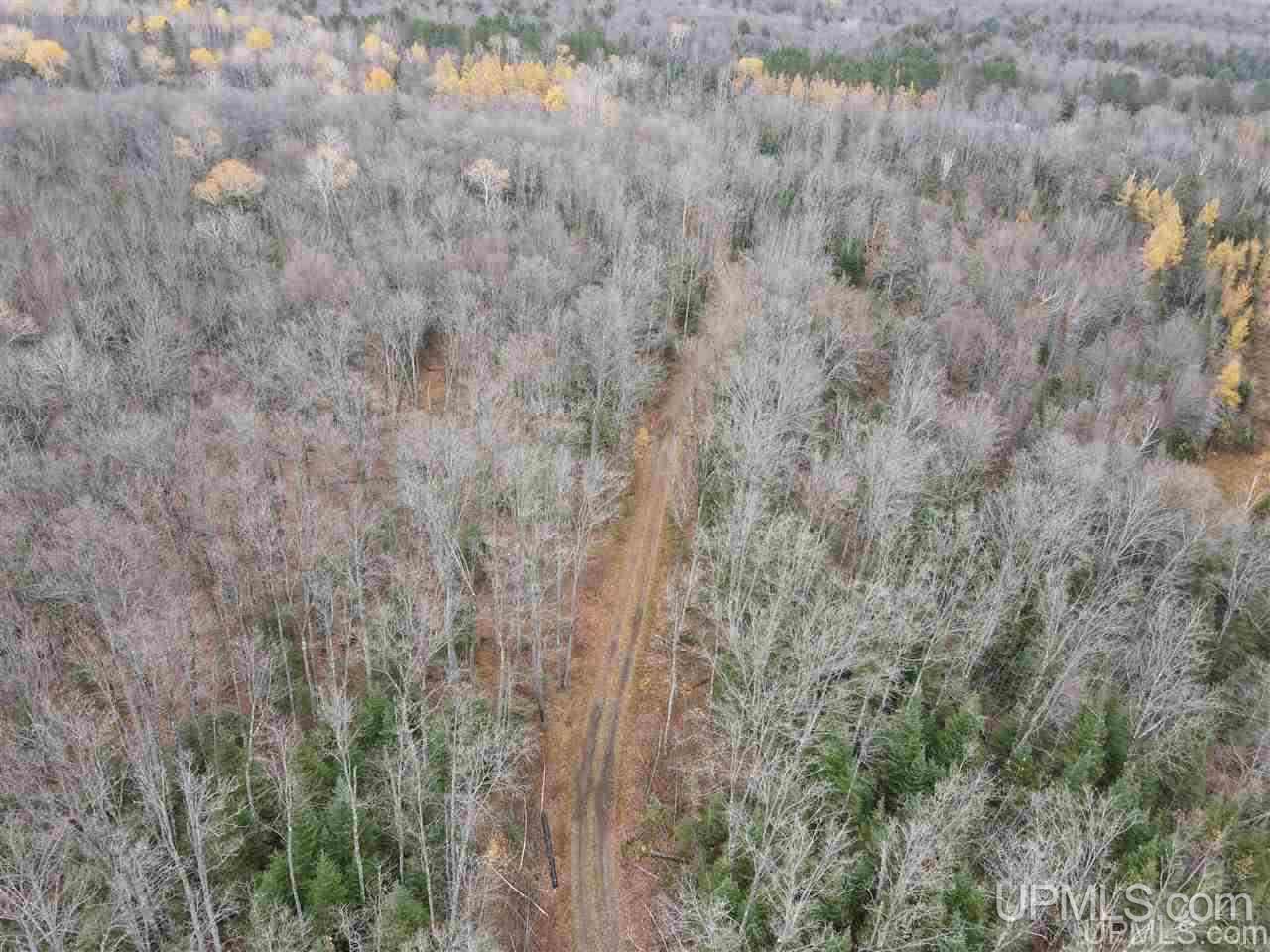 Off Off M64s Bessemer, MI 49911 - Photo 30 of 33