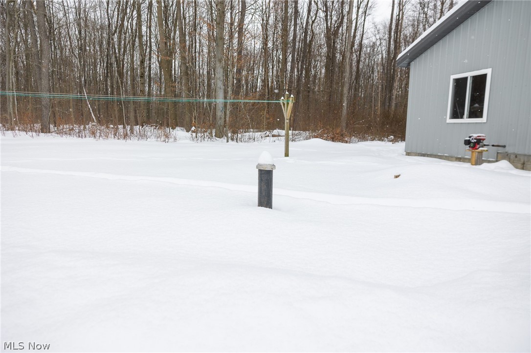 3542 Mann Road Andover, OH 44003 - Photo 23 of 42 View of yard