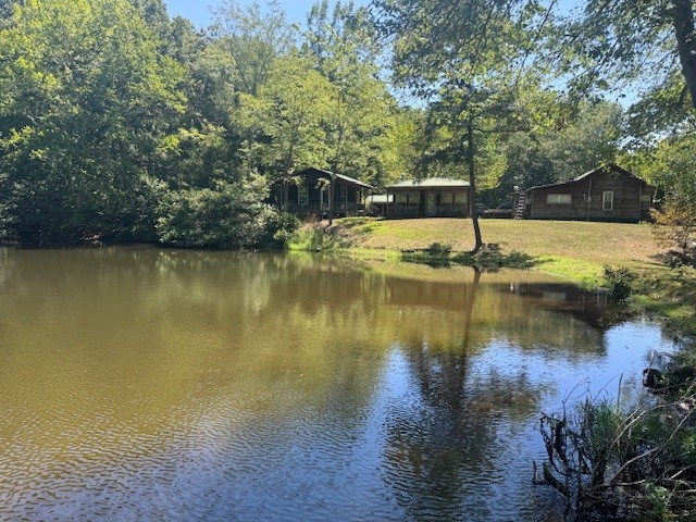 2785 Sulphur Creek Road Centerville, TN 37033 - Photo 3 of 53 Gallery Image 3