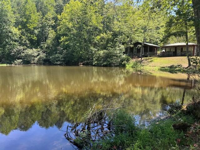 2785 Sulphur Creek Road Centerville, TN 37033 - Photo 8 of 53 Gallery Image 8