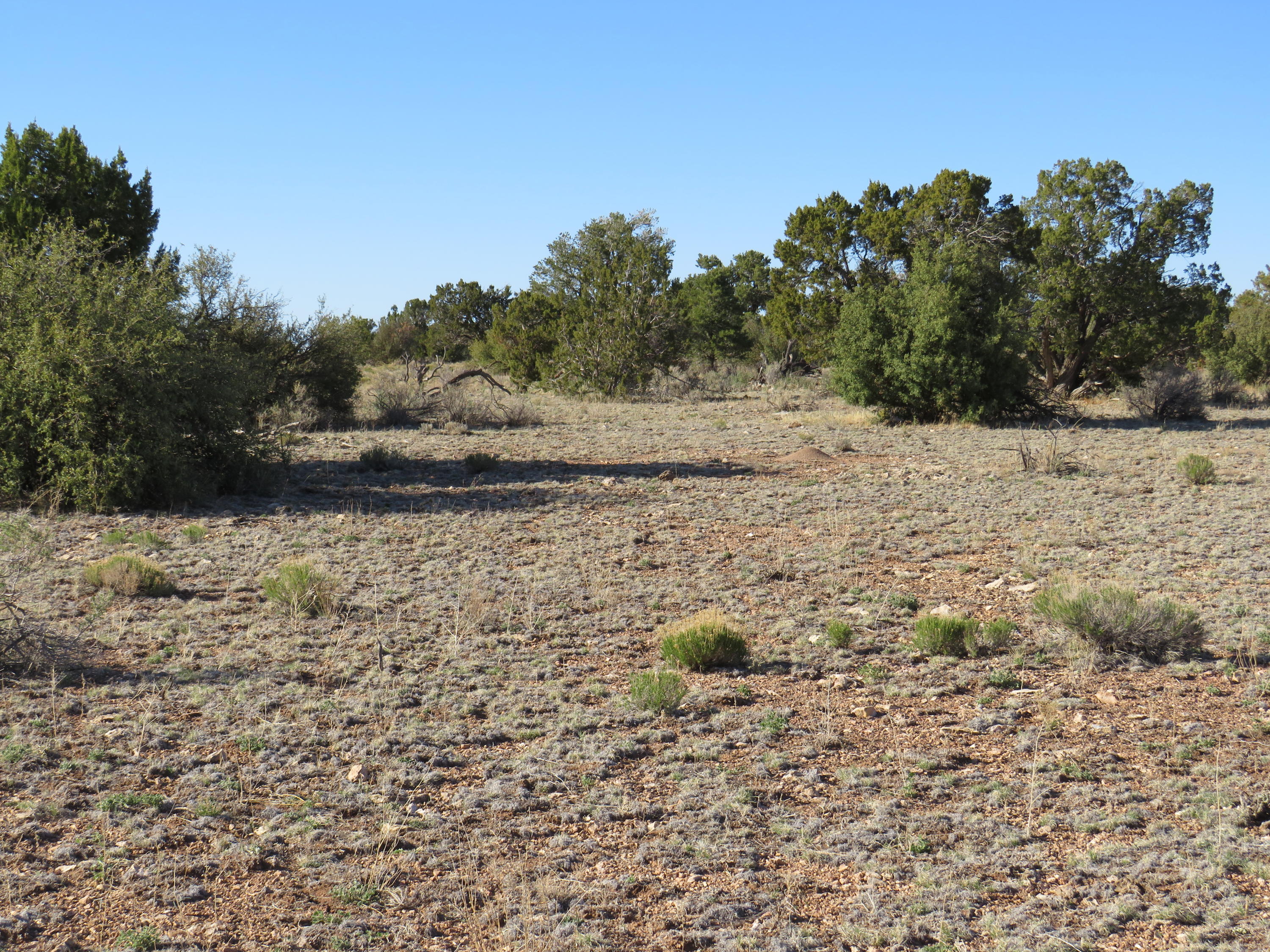 2150 Red Butte Road Williams, AZ 86046 - Photo 19 of 27 a view of a dry yard with wooden fence