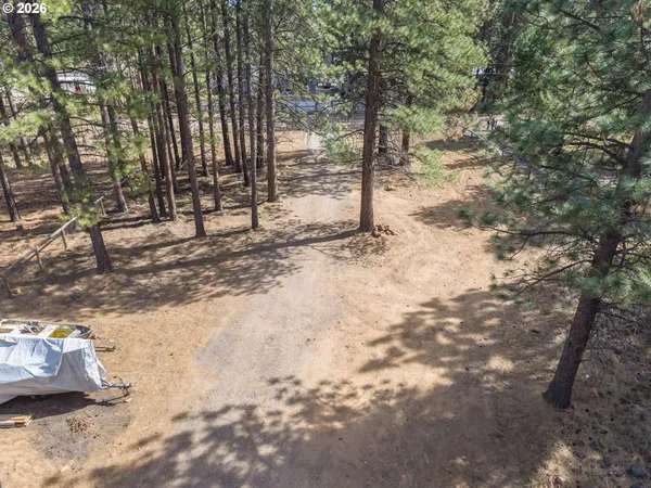 a view of a yard with trees