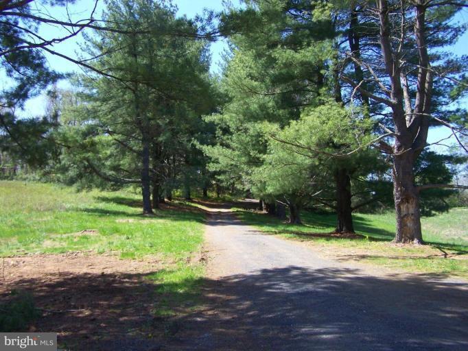 664 Long Mountain Road Washington, VA 22747 - Photo 22 of 22 Tree Lined Driveway