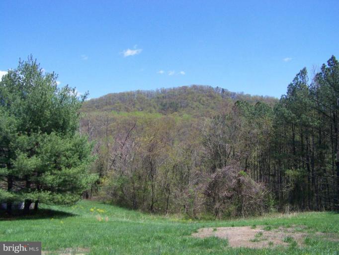 664 Long Mountain Road Washington, VA 22747 - Photo 5 of 22 View from Unit