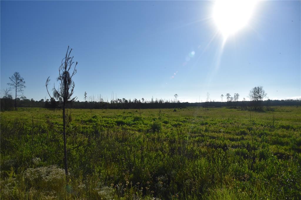 225 Off Highway Gainesville, FL 32609 - Photo 11 of 34 a backyard of a house with lots of green space