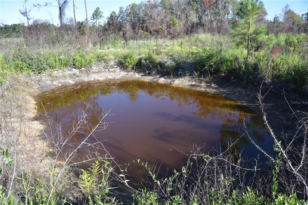 225 Off Highway Gainesville, FL 32609 - Photo 14 of 34 a view of a lake with a yard