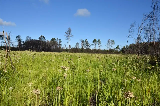 $234,900 | 225 Off Highway, Gainesville, FL 32609