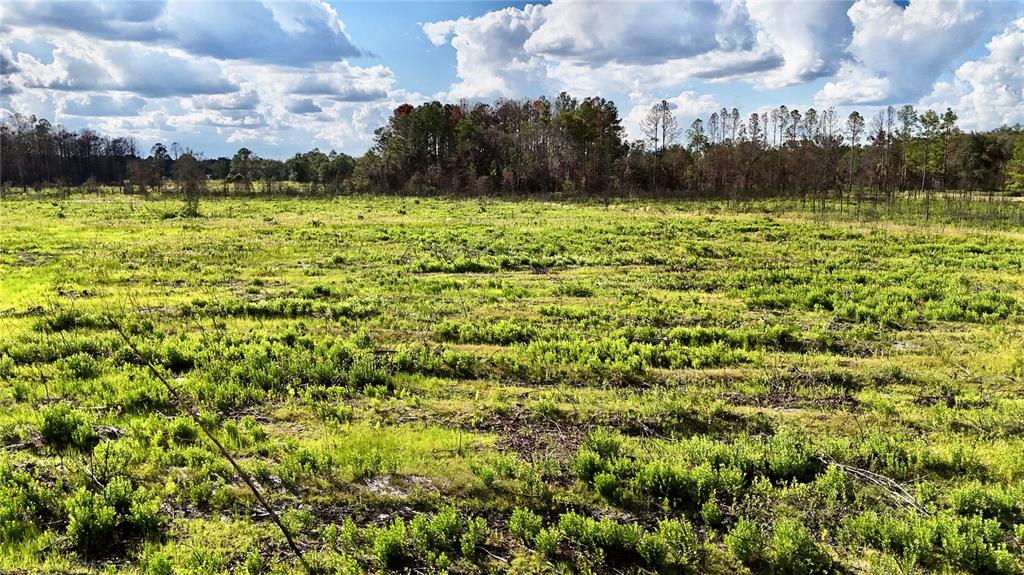 225 Off Highway Gainesville, FL 32609 - Photo 17 of 34 a view of a city