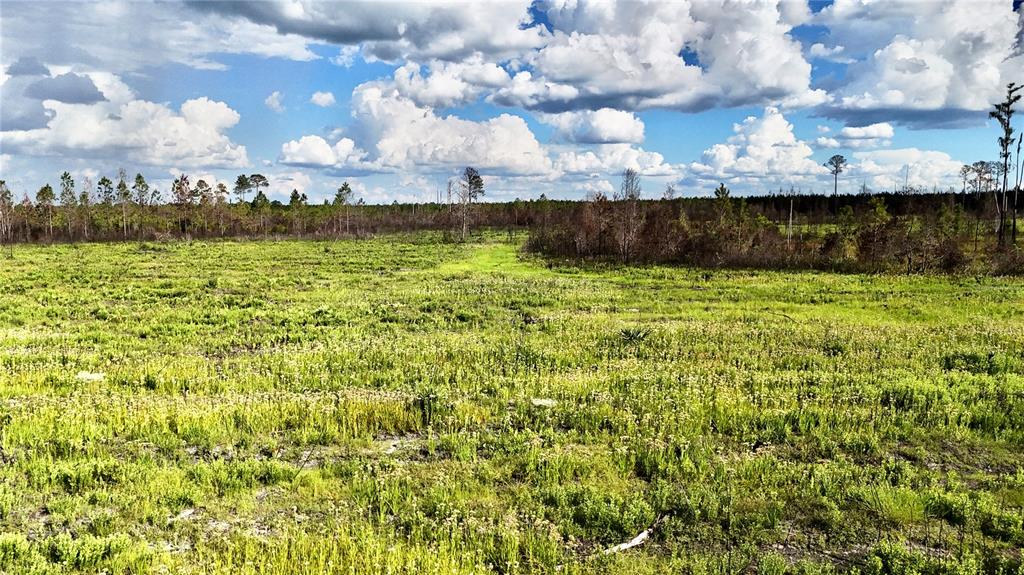 225 Off Highway Gainesville, FL 32609 - Photo 18 of 34