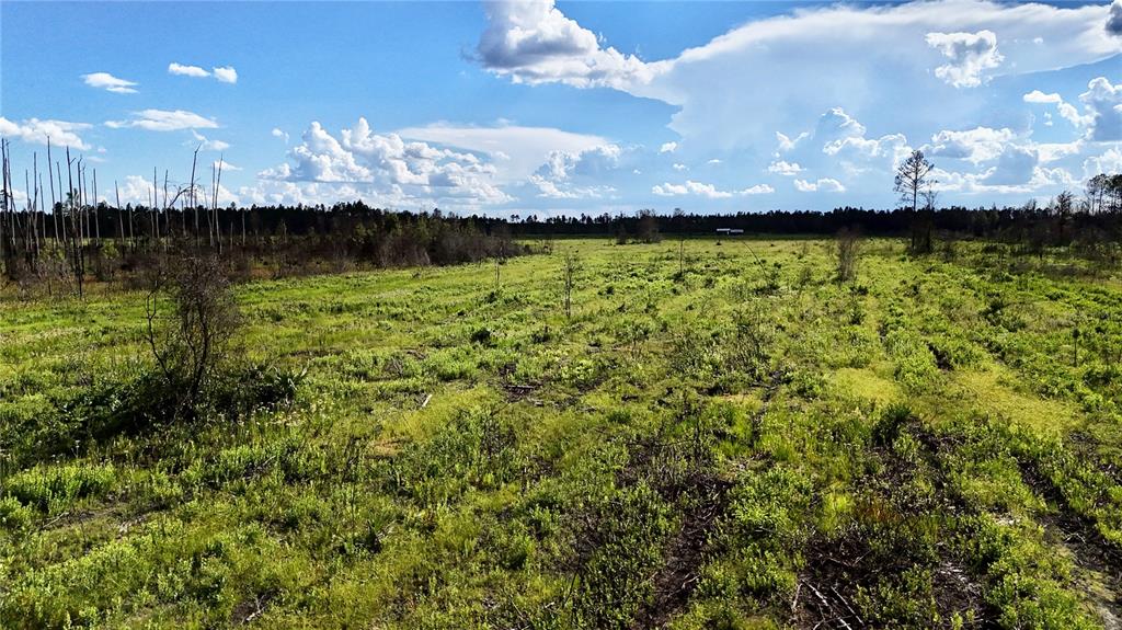 225 Off Highway Gainesville, FL 32609 - Photo 19 of 34 a view of a lake from a yard
