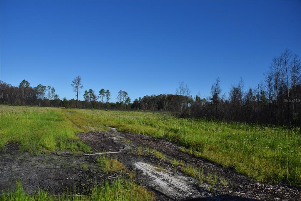 225 Off Highway Gainesville, FL 32609 - Photo 21 of 34 a view of a lake and green valley