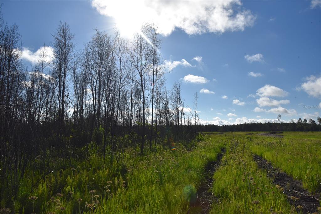 225 Off Highway Gainesville, FL 32609 - Photo 22 of 34 a view of swimming pool from a yard