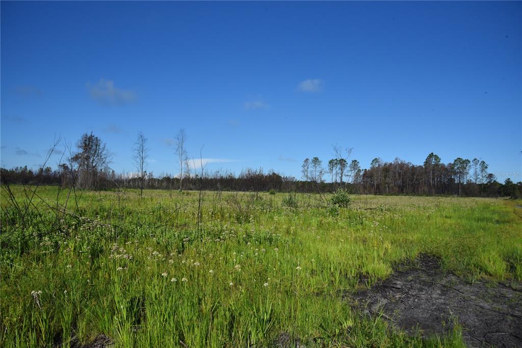 225 Off Highway Gainesville, FL 32609 - Photo 26 of 34 a view of a garden