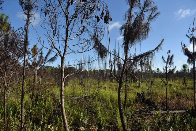 $234,900 | 225 Off Highway, Gainesville, FL 32609