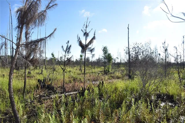 $234,900 | 225 Off Highway, Gainesville, FL 32609